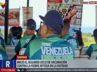 Más de 2 mil vacunadores iniciarán el ciclo de vacunación contra la fiebre aftosa en Barinas