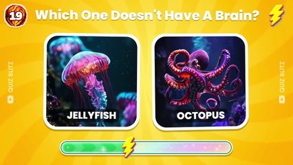 🧠 How Well Do You Know ANIMALS 🦁🐻🐳 45 Animals Knowledge Trivia Quiz