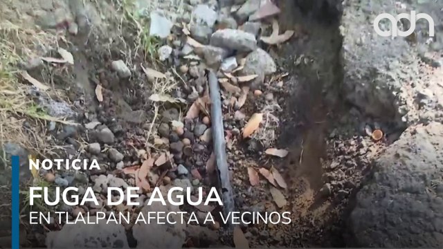 Vecinos reportan fuga de agua en Tlalpan; cientos de litros se pierden por descuido de autoridades