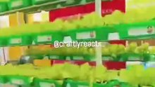 Grow food vertically, not traditionally 🌿 Start a vertical farming business from home or warehouse with low space, high yield, and strong profit margins! Would you try this sustainable startup?  #VerticalFarming #UrbanFarmin Reacts | DIY videos | crafts