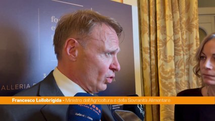 Ue, Lollobrigida "Da tre anni l'Italia ha un ruolo e un economia forte"