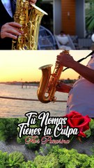 Tu nomas tienes la culpa - Flor Pucarina