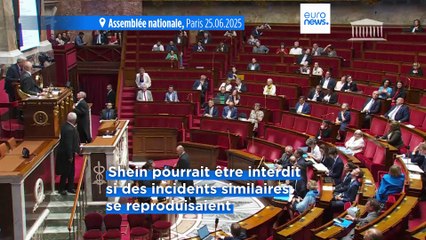 Shein sous la menace d'un bannissement après la vente de poupées à caractère pédopornographique