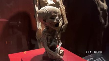 La historia detrás de las momias de Guanajuato