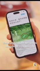 Detective Con Animales Completo