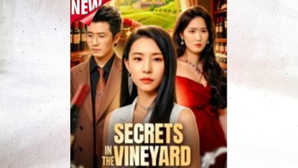 Secrets In The Vineyard