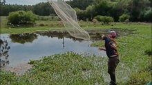 Pescando la carnada en la laguna con atarraya 👌🎣