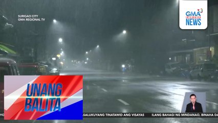 Ilang puno, nabuwal dahil sa malakas na hanging dala ng Bagyong Tino; 2 sasakyan, nadaganan | Unang Balita