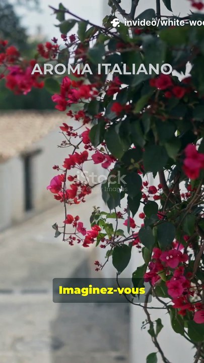 Eau de parfum Balma Venitia White Wood Unisex 100 ml