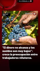 “El dinero no alcanza y los sueldos son muy bajos”: crece la preocupación entre trabajadores viñateros.