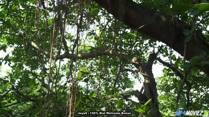 Damaged S1 – Full Episode Hindi Web Series