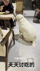 Cheat meal day… even the pet’s in on it 😭😂