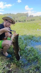 Pesca y liberación de tarariras en laguna llena de camalotes 🎣👌