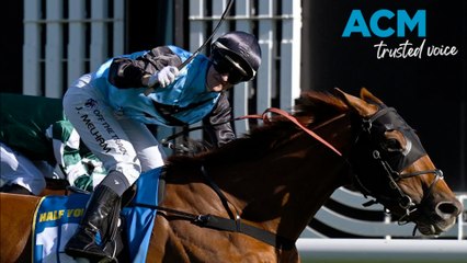 Aussie-Bred Horse Half Yours Eyes Melbourne Cup Victory 🏆