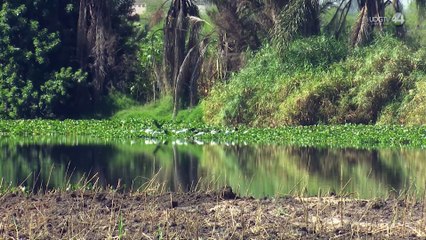 Por intervención federal, Jalisco reducirá fondos para restaurar el Río Santiago