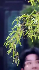 the lie that lasted seven years chinese drama