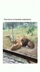 She is still still angry 😡 😂