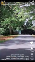 Mafia's Tender Torture