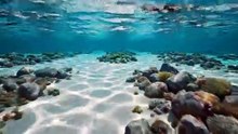 Untitled video (64)