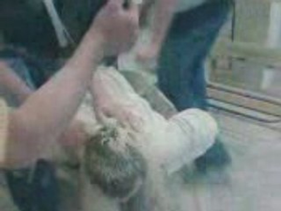 La brouette russe n°1