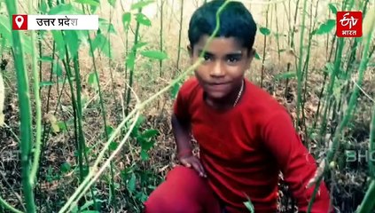 यूपी में सड़क हादसे; लखनऊ और चित्रकूट में सोमवार रात हुए भीषण हादसों में 6 लोगों की मौत, 5 की हालत गंभीर