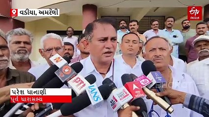 વડિયાથી "ખેતી બચાવો સત્યાગ્રહ" શરૂ, બગડેલા કપાસનો ટોપલો લઈ મામલતદાર કચેરી પહોંચ્યા ખેડૂતો