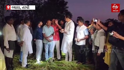 તાપી જિલ્લાની મુલાકાતે કૃષિ મંત્રી : પાક નુકસાનીનું નિરીક્ષણ કરી ખેડૂતો સાથે સંવાદ કર્યો