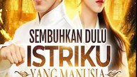 Sembuhkan Dulu Istriku yang Manusia sub Indo Full Movie