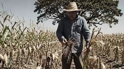 1762228395_merged_video_5e4349e9