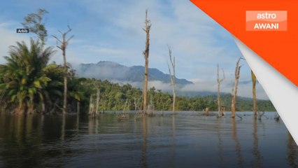 Akta Kualiti Alam Sekeliling 2024 perketat hukuman denda