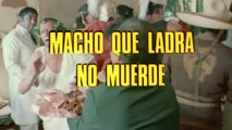 Macho que ladra no muerde 1984 HD 720 Latino Completa Rebeca Silva, Maribel Guardia