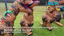 Horses were not the only animals racing at this Melbourne Cup day event