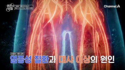 기름은 기름으로 잡는다?! 혈관 건강 지키는 생존의 비밀은?