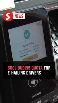 Government prepared to raise Budi95 quota for e-hailing drivers, says Anwar