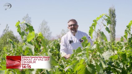 “Dikkat Ayvaz Şef Çıkabilir”, 10 Kasım Pazartesi’den itibaren hafta içi her gün 14.15’te Kanal 7 ekranlarında...