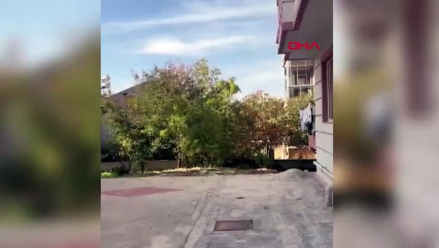 Yorgun mermi otomobilin tavanını deldi