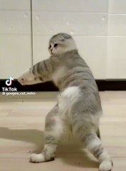 Tock tick tock tick tock a good time to get home and get some rest today and watch the same