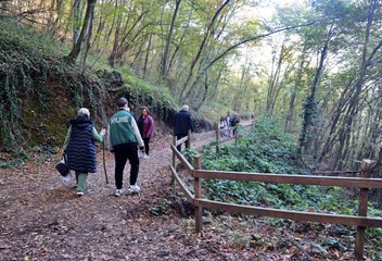 Burası varken yaylaya gerek yok: Hafta sonu akın ediyorlar