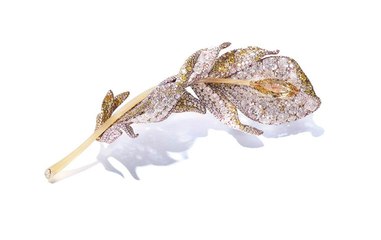 ريشة تتحدى الزمن: سيندي تشاو تُحوّل المجوهرات إلى فن نابض بالحياة