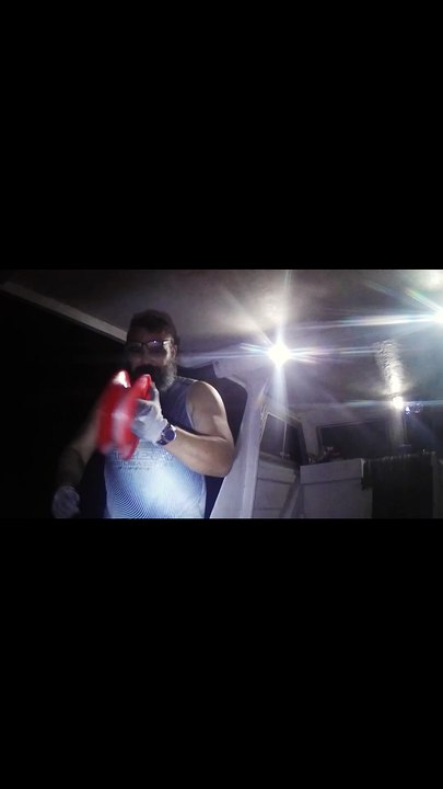 requin ou gros poisson?? shark or big fish ???