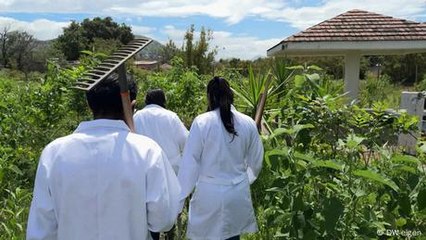 México: germina la esperanza en desiertos urbanos