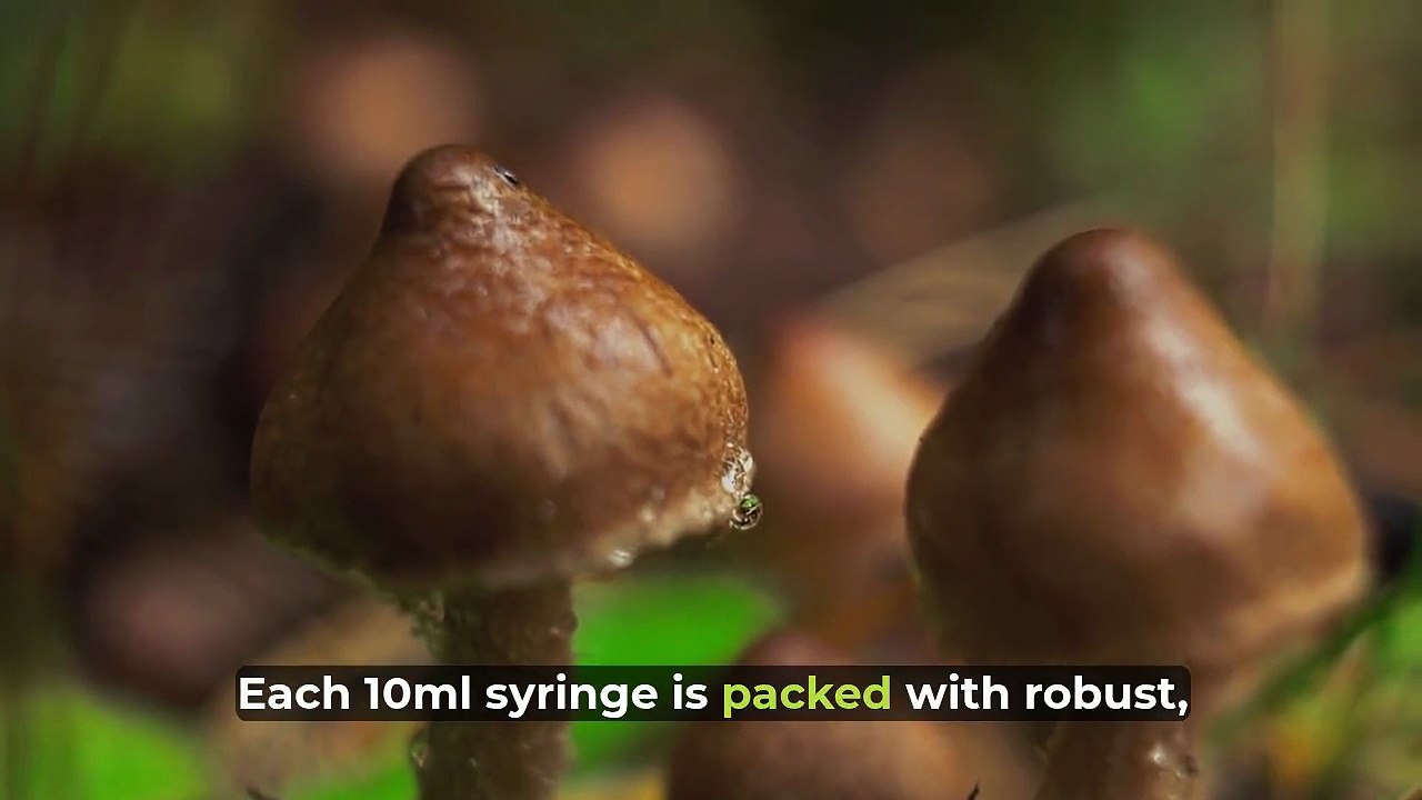 Equador Spore Syringe | Buy Equador Mushroom Spores | Quality Spores