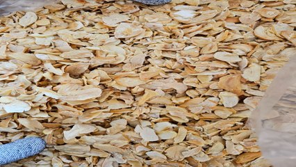 중국산 건조 마늘, 고관세 피하려 냉동으로 위장...17억 원 규모 적발 / YTN