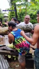 Family rescued after being trapped inside house due to Typhoon Tino