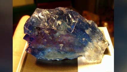 S5 E1 – Celebrity Yorkshire Auction House 🏠