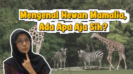 Mengenal Hewan Mamalia, Ada Apa Aja Sih?-Serius Ini Hewan?