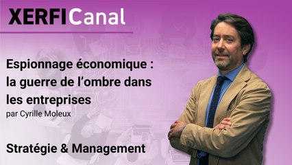 Espionnage économique : la guerre de l’ombre dans les entreprises [Cyrille Moleux]