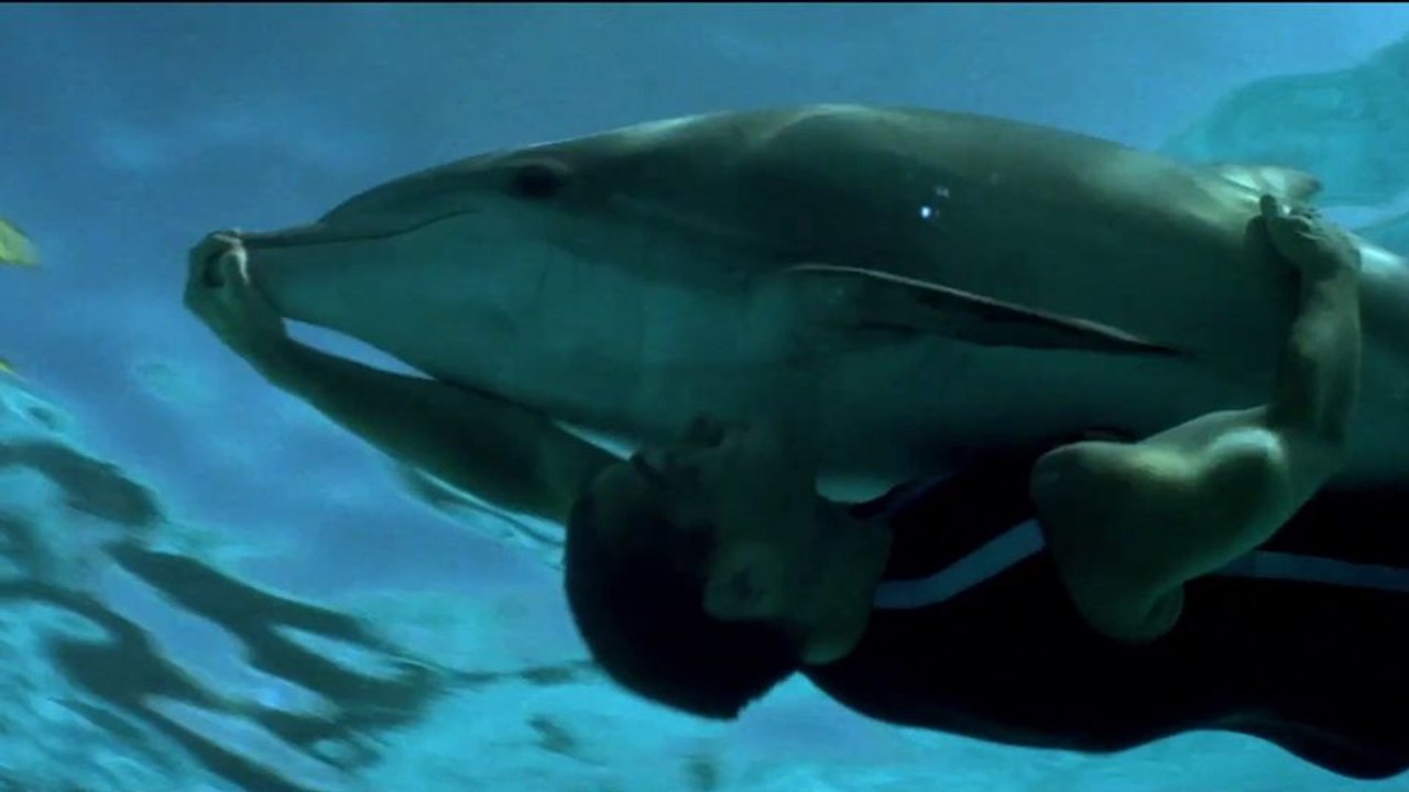 Im rausch der tiefe trailer (2) df