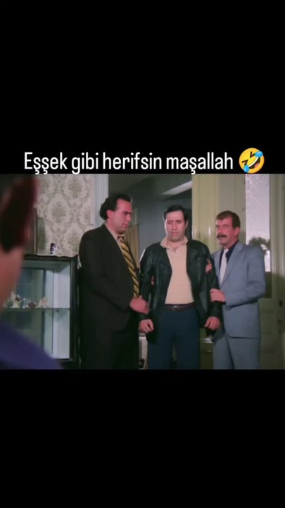 Eşşek gibi adamsın