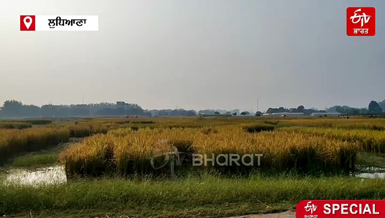 ਪੰਜਾਬ ਵਾਸੀ ਰੱਖਣ ਆਪਣਾ ਖਿਆਲ: ਸਿਹਤ ਵਿਭਾਗ ਨੇ ਜਾਰੀ ਕੀਤੀ ਐਡਵਾਈਜਰੀ, ਜਾਣੋ ਕਾਰਨ